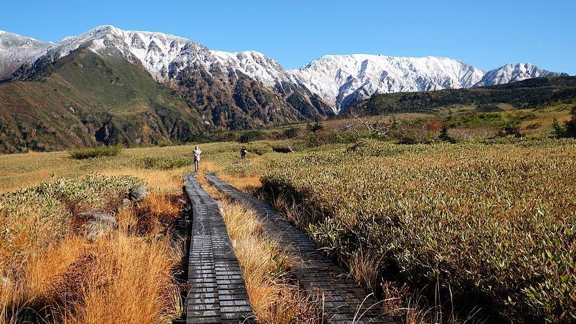 Midagahara Wetlands - Tateyama Kurobe Alpine Route