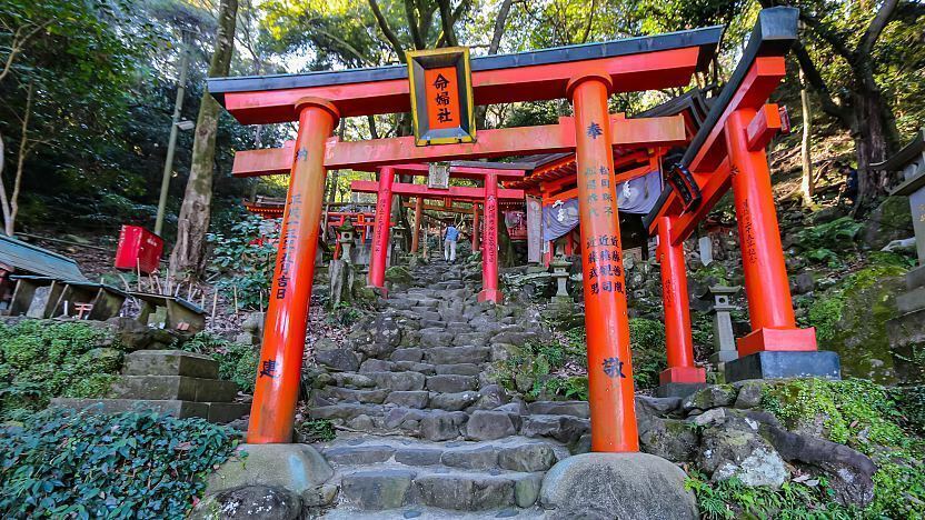 Yutoku Inari Shrine Travel Guide