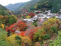 Best autumn leaf viewing spots in Kyoto