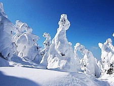 Where to find snow in Japan