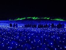 2023/2024 Winter Illuminations in Tokyo