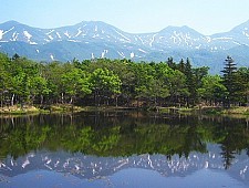 Wildlife and Zoos in Japan