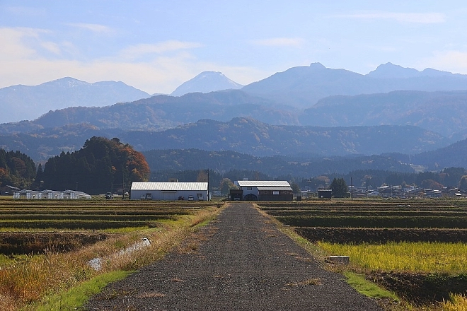 Egami Keita - Artists｜Echigo-Tsumari Art Field