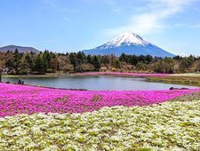 Fuji Five Lakes Travel: Kubota Itchiku Art Museum