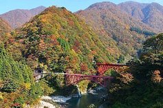 Toyama Prefecture Travel Guide