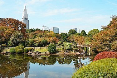 tourist guide to tokyo japan
