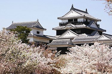 Matsuyama Travel Guide What To Do In Matsuyama City